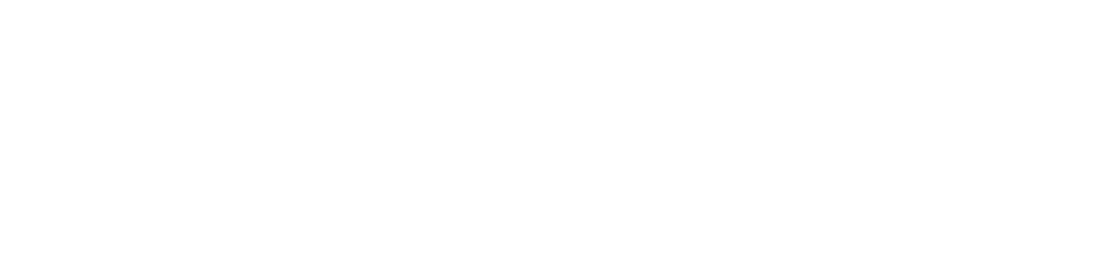 ncloud24 logo