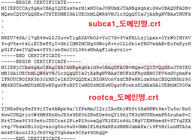SSL CSR
