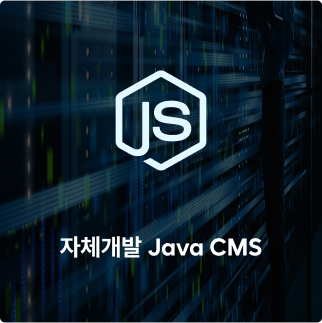 자체개발 Java CMS